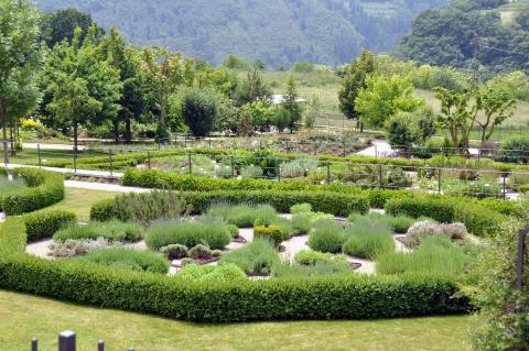 L'Orto dei semplici in the Eccheli - Baisi Palace, with Mount Baldo's botanical vegetable garden