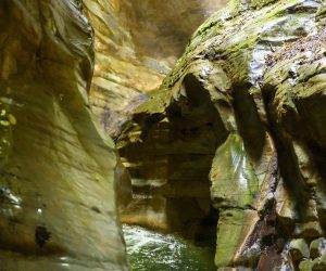 Uscita naturalistica al Canyon della Sorna