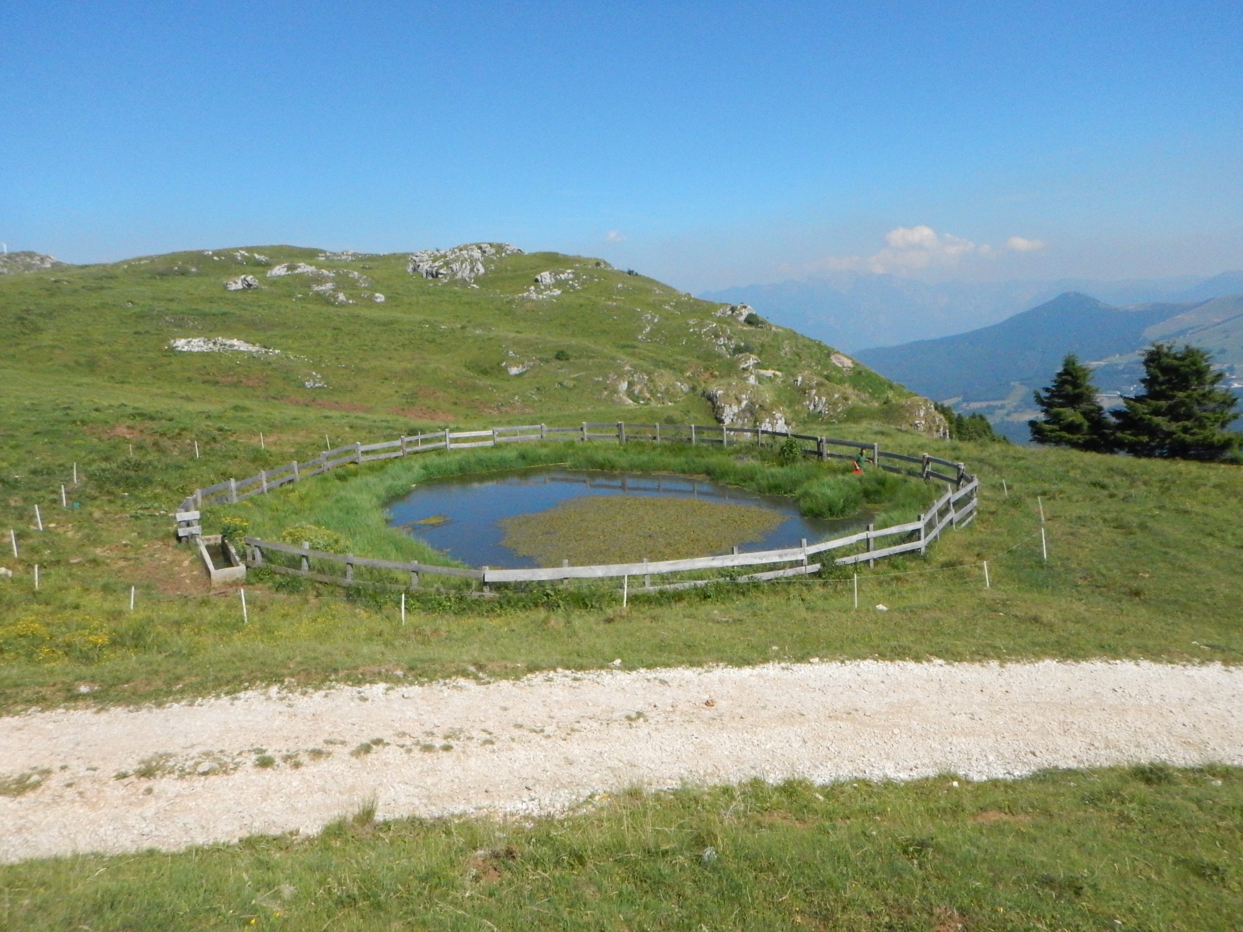 ALPEGGIO BIODIVERSO