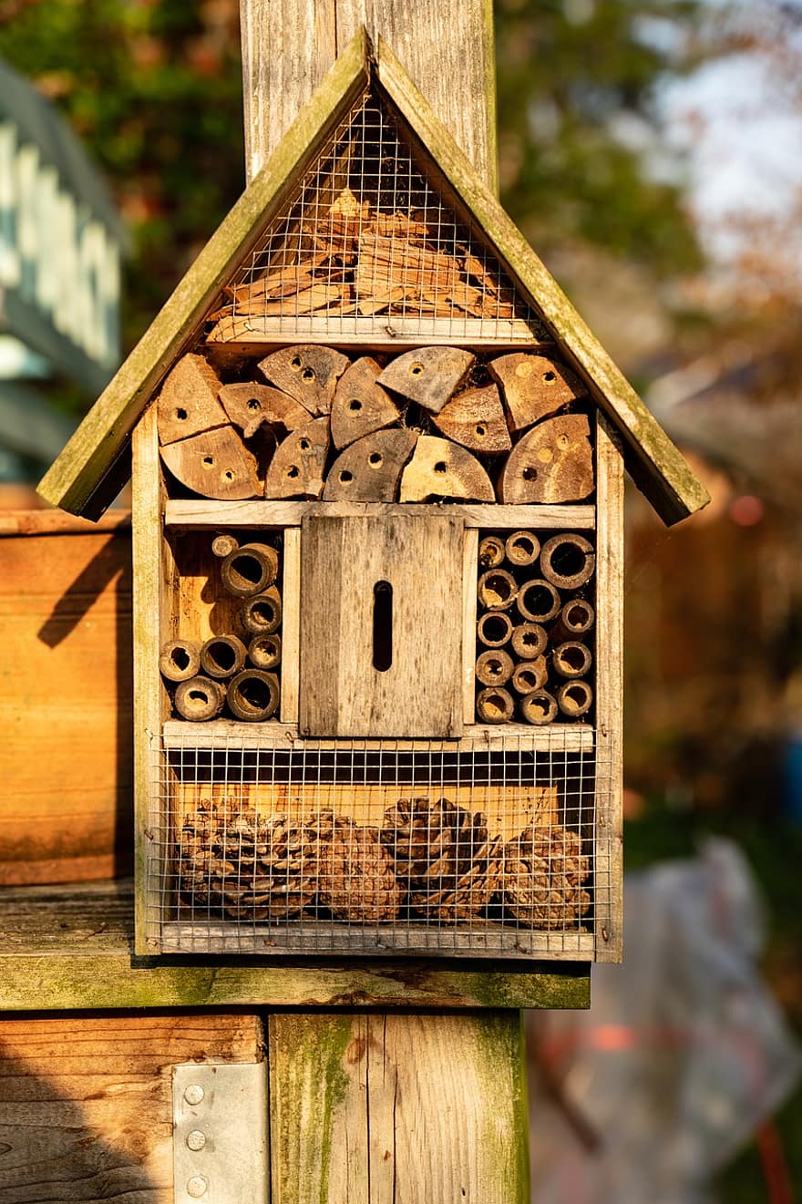 COSTRUIAMO UN BUG-HOTEL