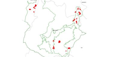 Fase A - Progetto collettivo a finalità ambientali, prati ricchi di specie