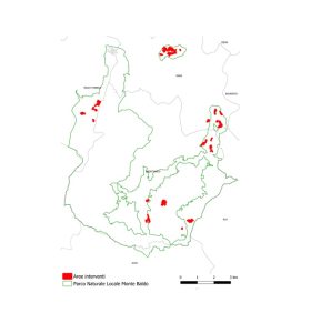 Fase A - Progetto collettivo a finalità ambientali, prati ricchi di specie