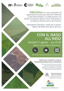 Con il naso all'insù