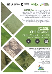 Fossili, che storia!