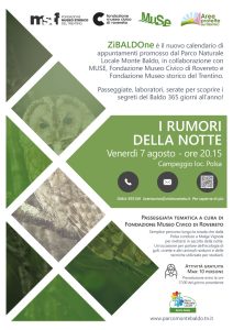 I rumori della notte