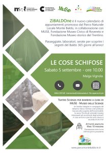 LE COSE SCHIFOSE