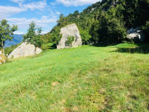 Fase B - Progetto collettivo a finalità ambientale, prati ricchi di specie