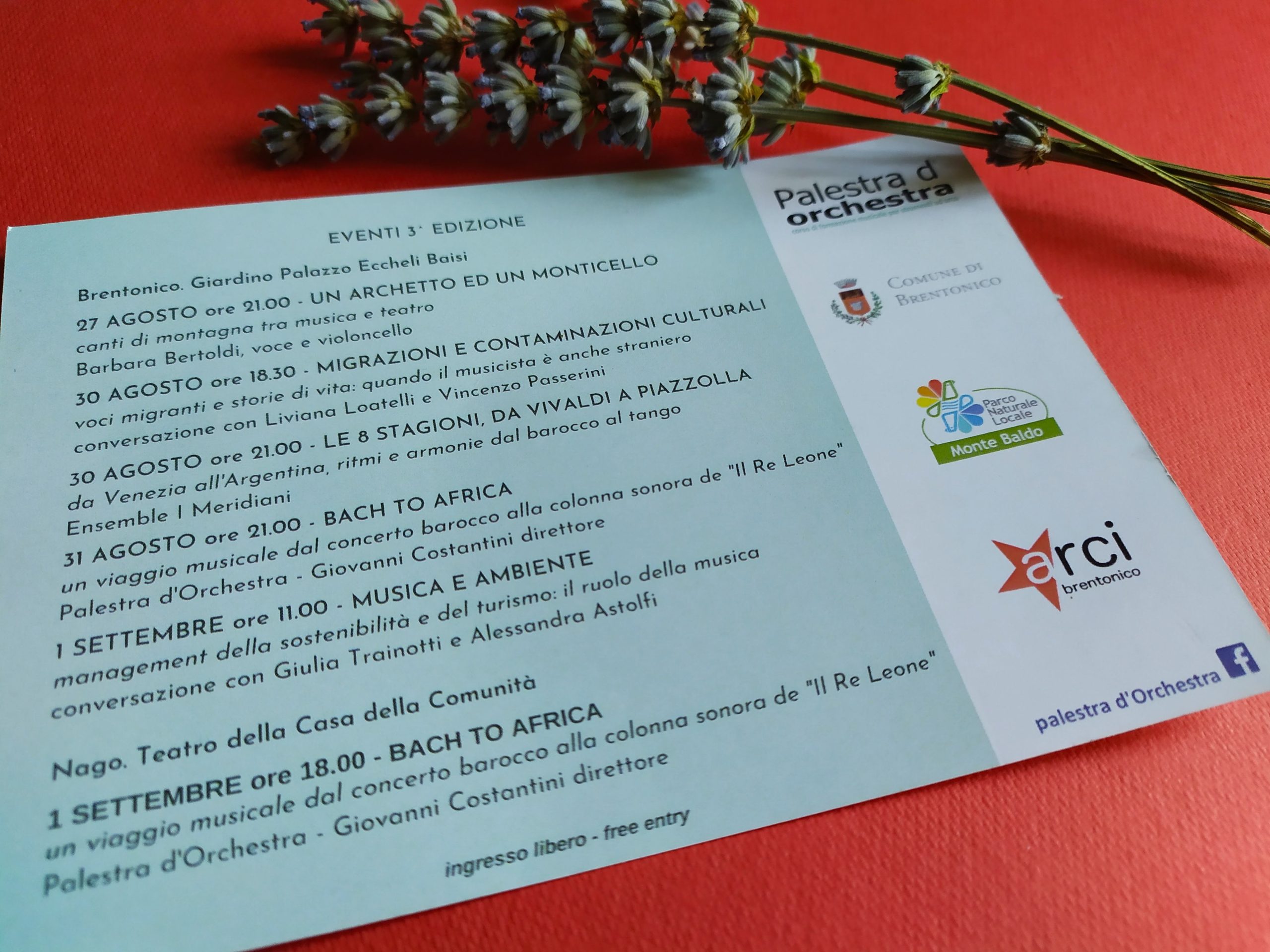 Palestra d'Orchestra 2019