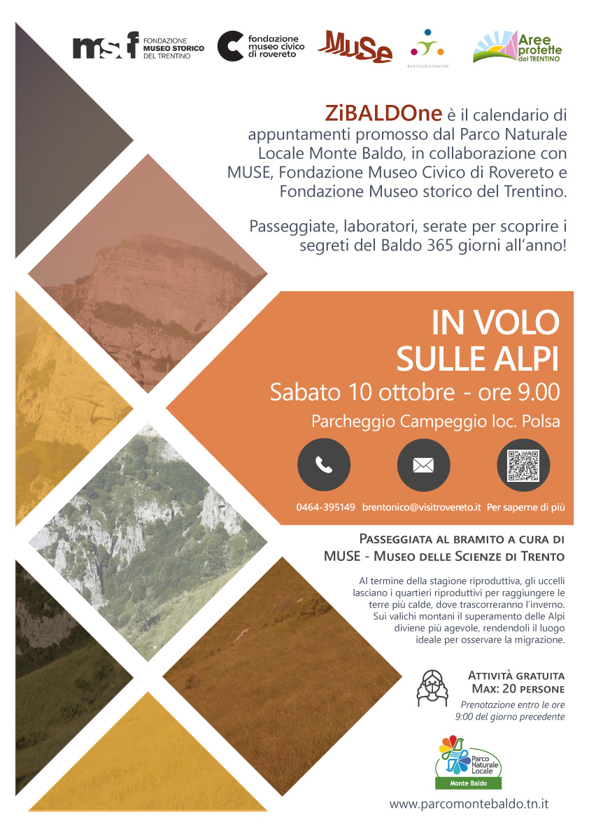 In volo sulle Alpi