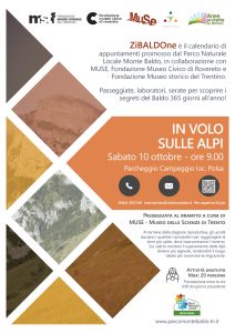 In volo sulle Alpi