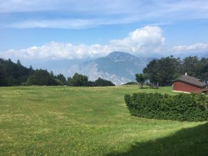 Fase B - Progetto collettivo a finalità ambientale, prati ricchi di specie
