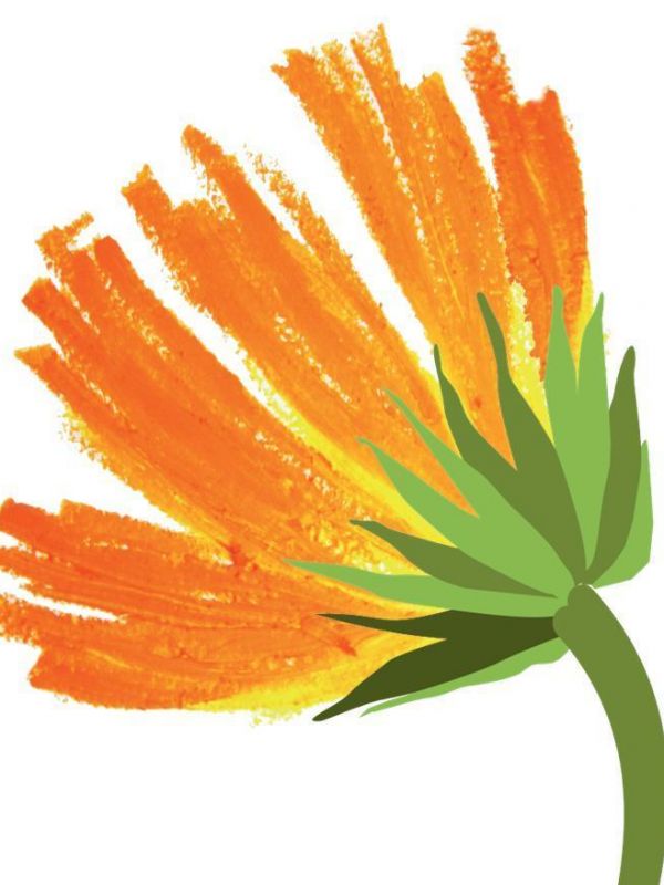 Semplici di natura
