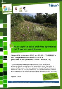 Alla scoperta delle orchidee spontanee del Trentino meridionale