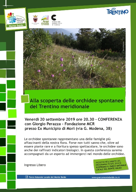 Alla scoperta delle orchidee spontanee del Trentino meridionale