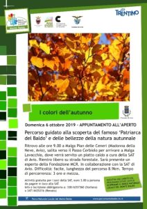 Colori d'autunno