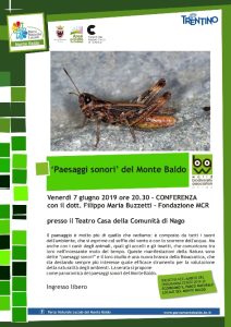 Conferenza