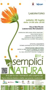 Distillazione dalla pianta all'olio essenziale