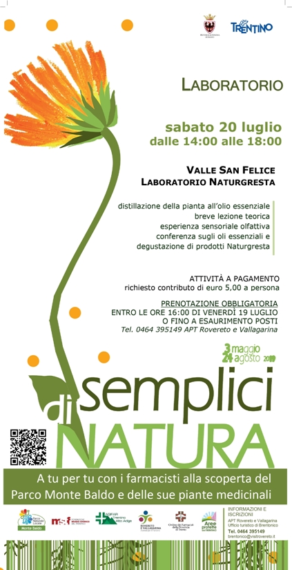 Distillazione dalla pianta all'olio essenziale