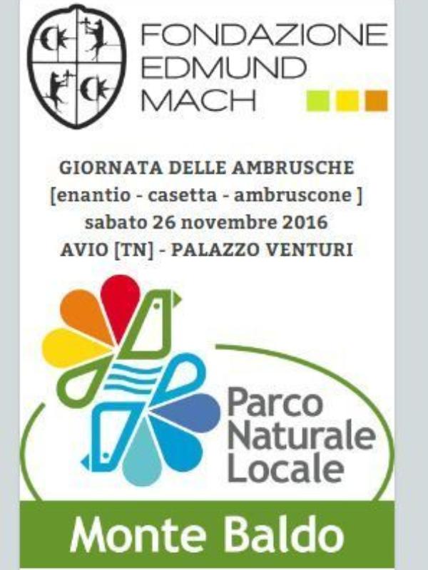 GIORNATA DELLE AMBRUSCHE [enantio - casetta - ambruscone ]
