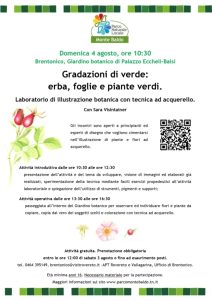 Gradazioni di verde: erba, foglie e piante verdi come spunto d’interesse per l’illustrazione