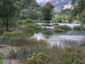 Habitat e specie floristiche