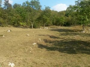 Interventi di manutenzione aree verdi