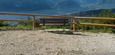 Interventi di manutenzione aree verdi