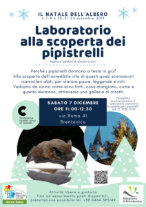 Laboratorio alla scoperta dei pipistrelli