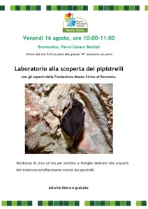 Laboratorio alla scoperta dei pipistrelli
