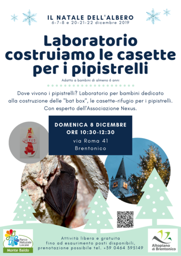 Laboratorio costruiamo le casette per i pipistrelli