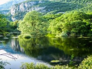 L’affascinante natura del lago di Loppio