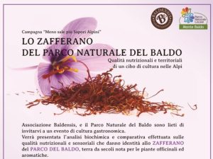 Lo zafferano del Parco Naturale Locale Monte Baldo