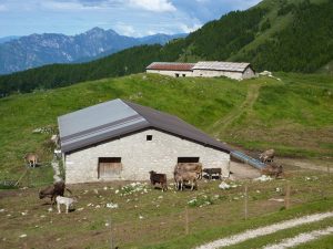 Malga Canalece