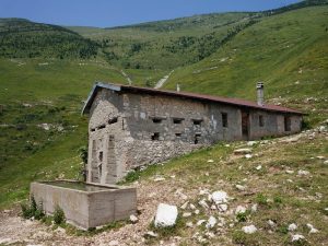 Malga Pesna