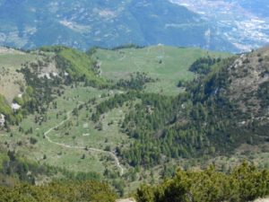 Monte Varagna - Val del Parol - Malga Campei di sotto