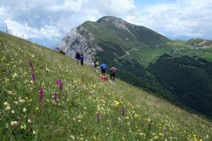 Comune di Brentonico e Museo Civico di Rovereto