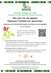 Non solo ciò che appare: illustrare l’insieme ed i particolari che lo costituiscono