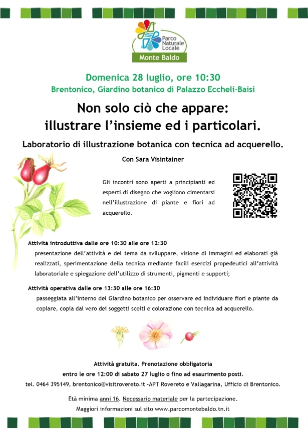 Non solo ciò che appare: illustrare l’insieme ed i particolari che lo costituiscono
