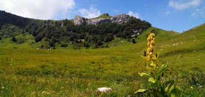Bocca del Creèr