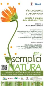 Passeggiata e visita guidata alla scoperta delle specie botaniche e mediche