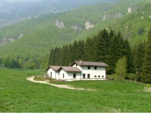 Pian della Cenere - Malga Lavacchio