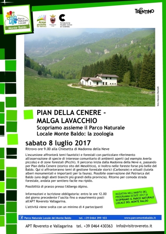 Pian della Cenere - Malga Lavacchio
