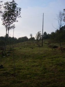 Progetto collettivo a finalità ambientale, prati ricchi di specie