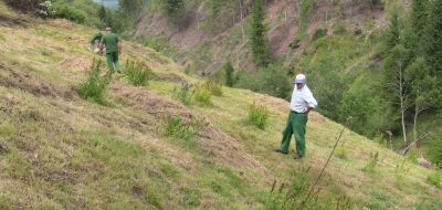 Progetto collettivo a finalità ambientale, prati ricchi di specie