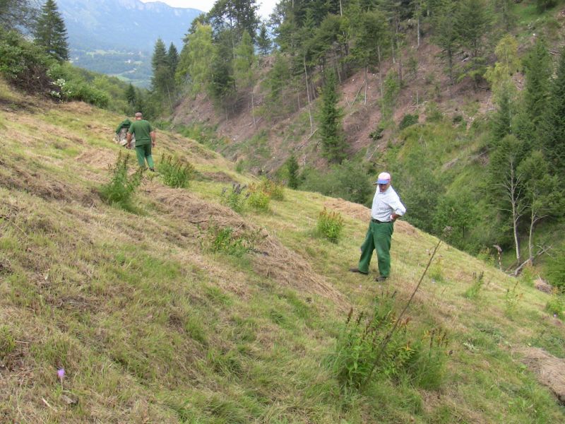Progetto collettivo a finalità ambientali