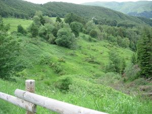 Sfalciare le zone umide
