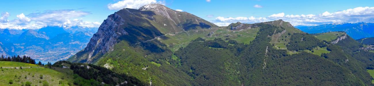 Contatti