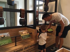 Visite guidate gratuite alla Casa del Parco!